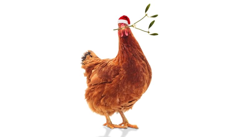 кадр из фильма Пернатое рождество