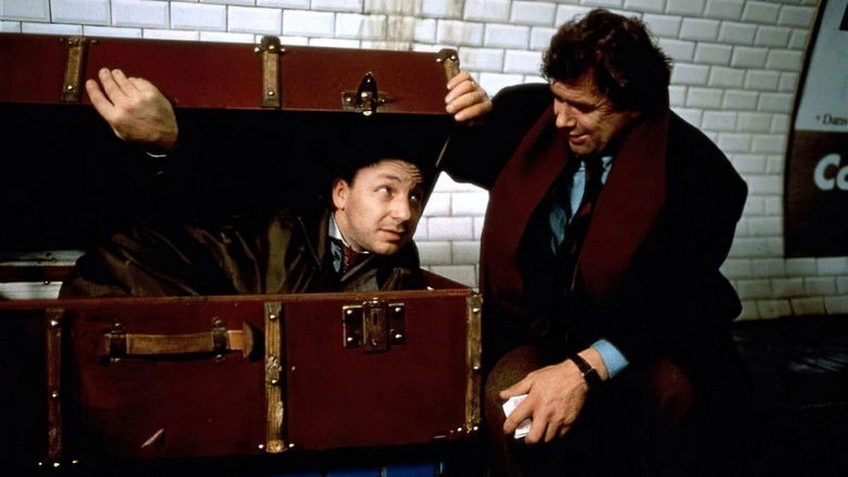 кадр из фильма Три цвета: Белый