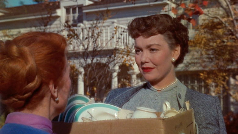 кадр из фильма Все, что дозволено небесами