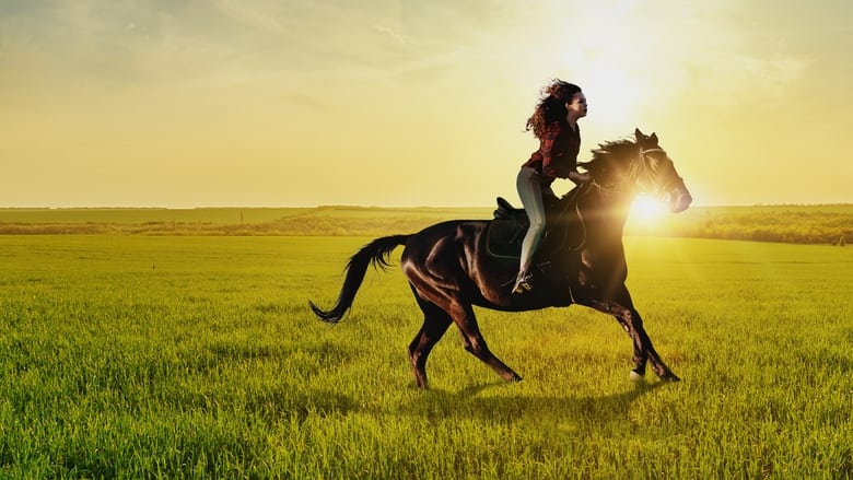 кадр из фильма Галопом к мечте