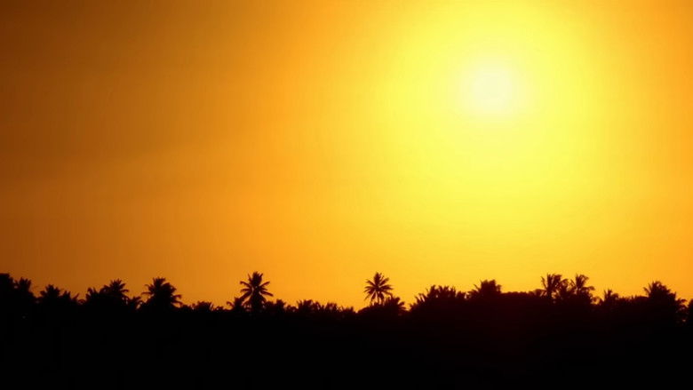 кадр из фильма Бог – бразилец