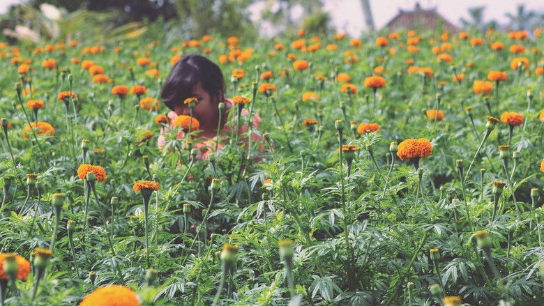 кадр из фильма Rocket Rain