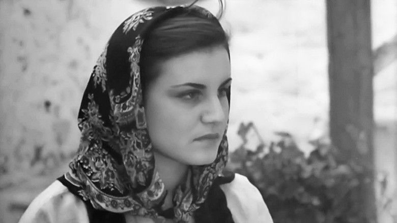 кадр из фильма Μαύρη Γη