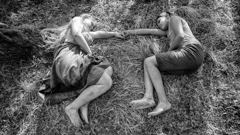 Раскрашенная птица