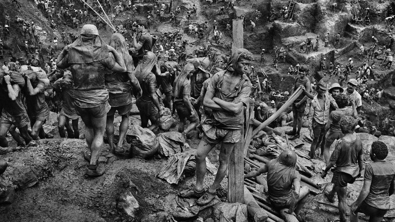 кадр из фильма Соль земли