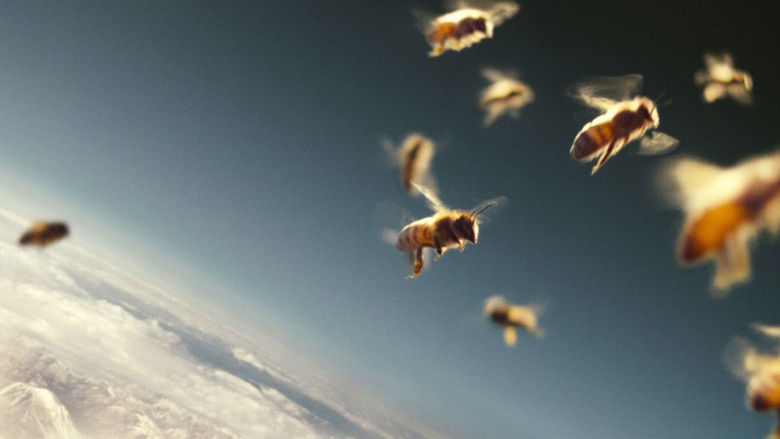 кадр из фильма Больше, чем мёд