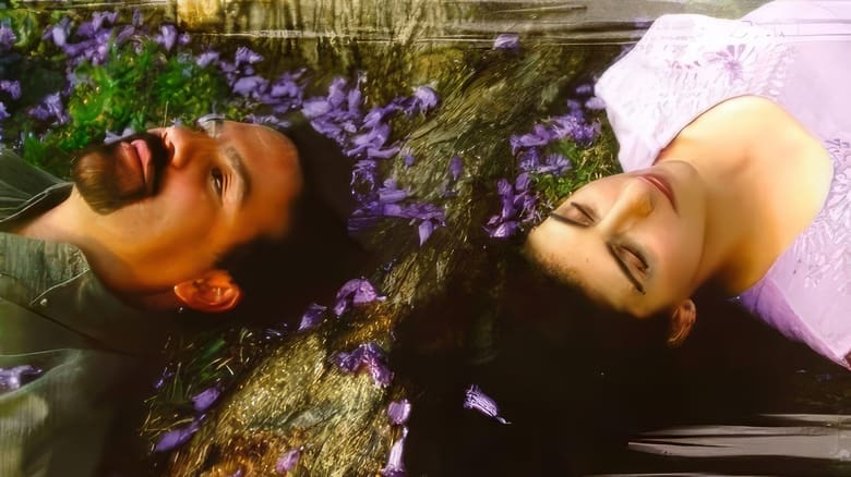 Слишком много любви