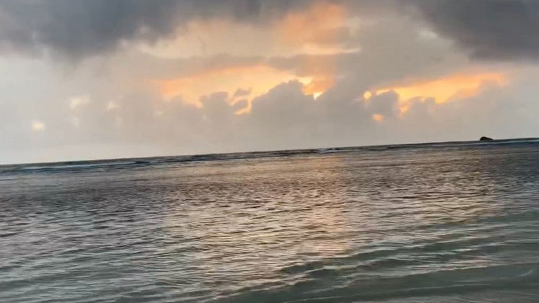 кадр из фильма Puerto Plata