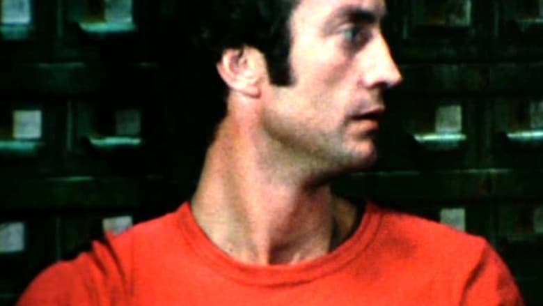 кадр из фильма The Love Letters from Teralba Road