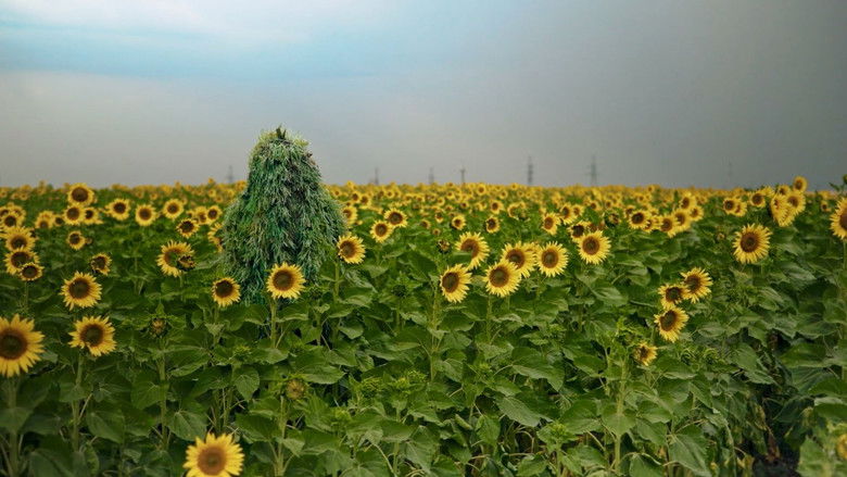 кадр из фильма Meduza