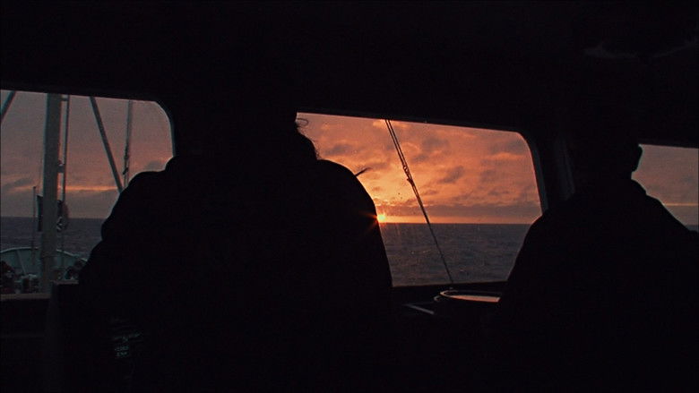 кадр из фильма At the Edge of the World