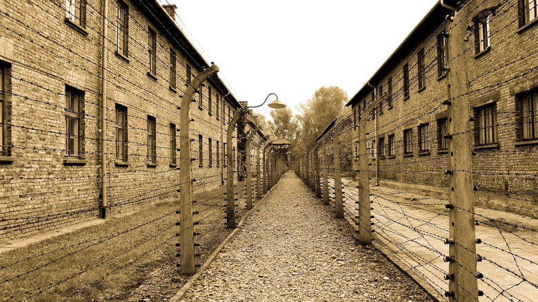 кадр из фильма アウシュビッツ　死者たちの告白