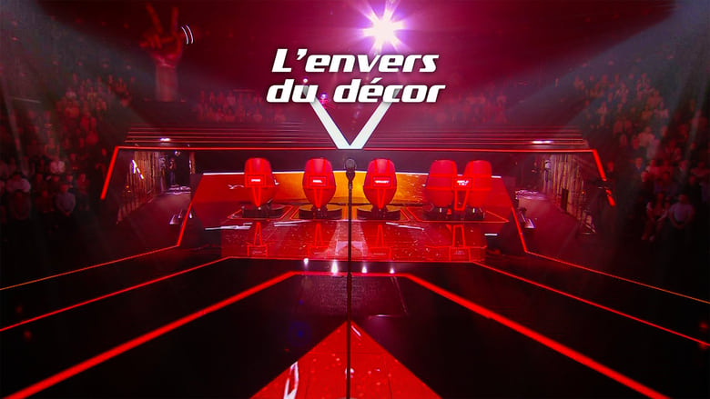 кадр из фильма The Voice : l'envers du décor