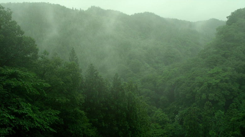 кадр из фильма Маленький лес. Лето, осень