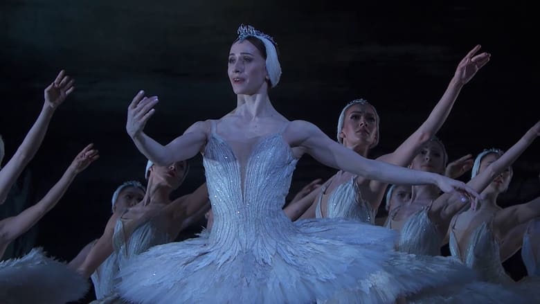 кадр из фильма Swan Lake