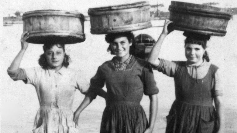 кадр из фильма Testemuñas dunha illa