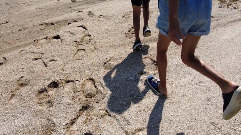 кадр из фильма 방방과 플라나리아