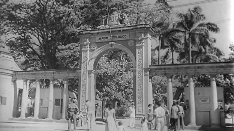 кадр из фильма Jardim Zoológico do Rio de Janeiro