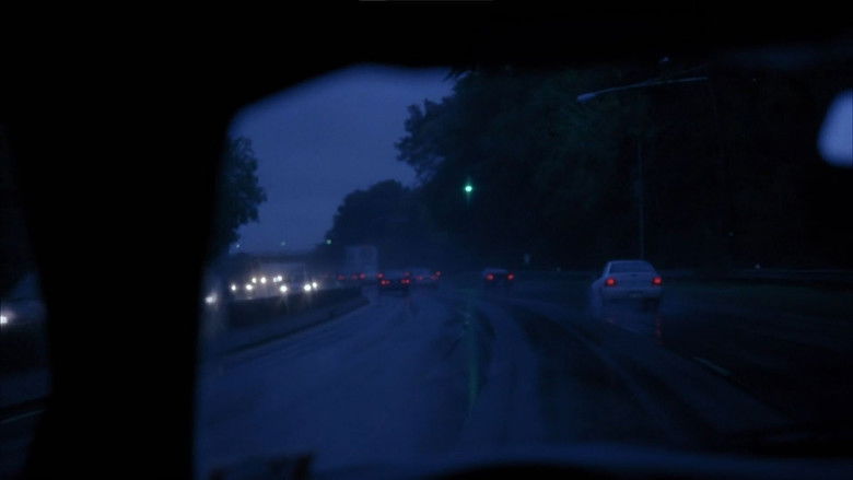 кадр из фильма Сломанные цветы