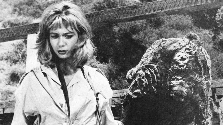 кадр из фильма Night of the Blood Beast