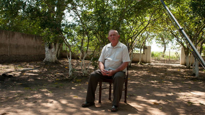 кадр из фильма Painho e o Trem