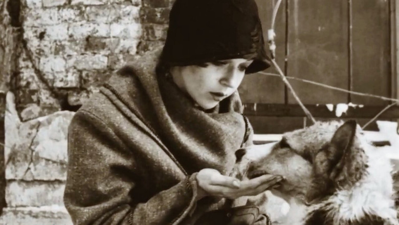кадр из фильма Собачье сердце
