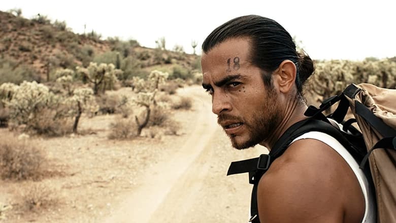 кадр из фильма Охота на койота