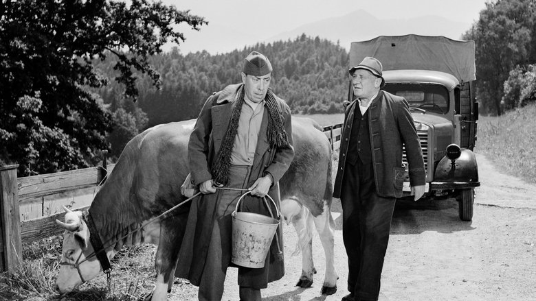 кадр из фильма Корова и солдат