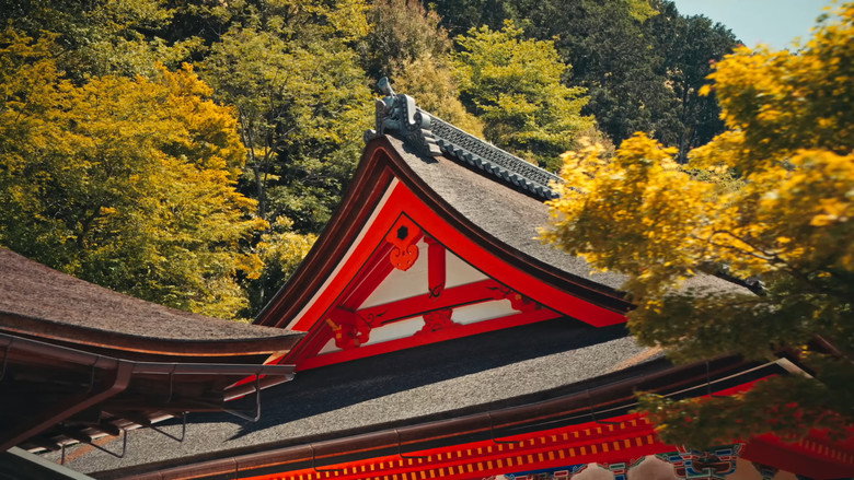 кадр из фильма JAPAN