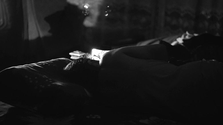 кадр из фильма Pájaros de la noche