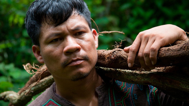 кадр из фильма Icaros