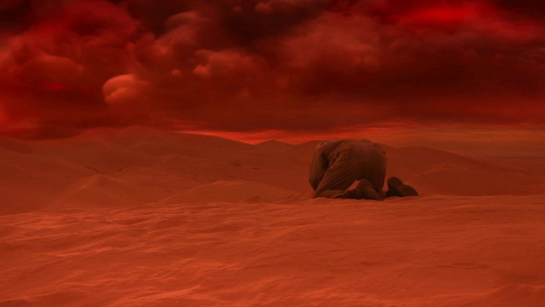 кадр из фильма Beached