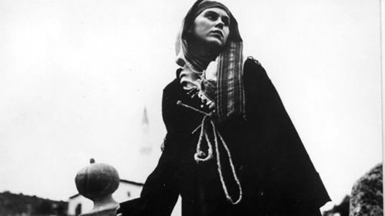 Ребро адамово