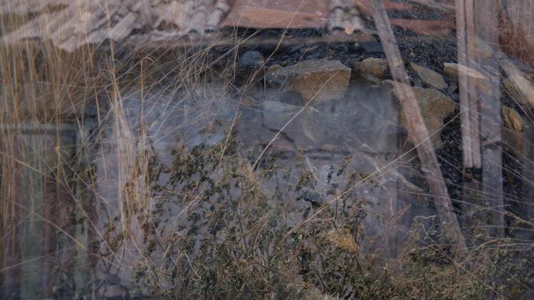 кадр из фильма an observance of absence