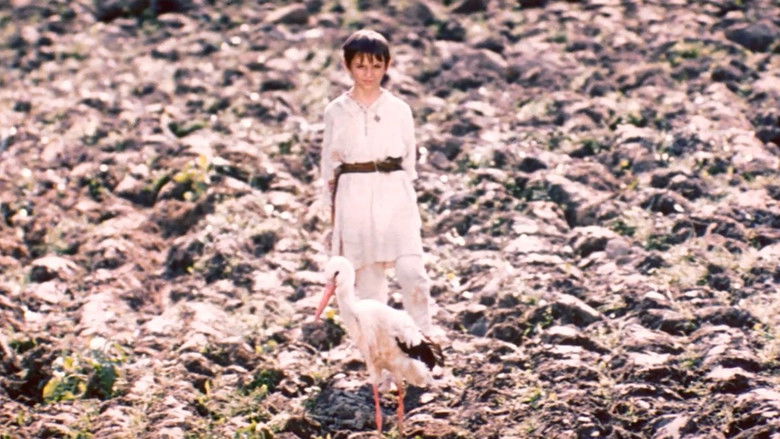 кадр из фильма Белая птица с чёрной отметиной