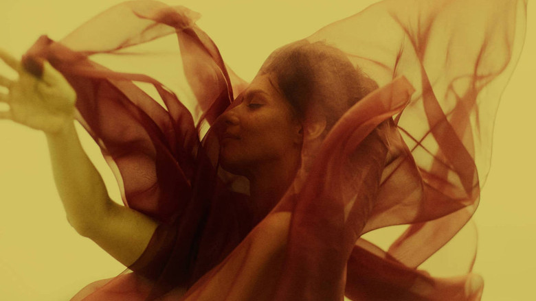 кадр из фильма A Paixão Segundo G.H.