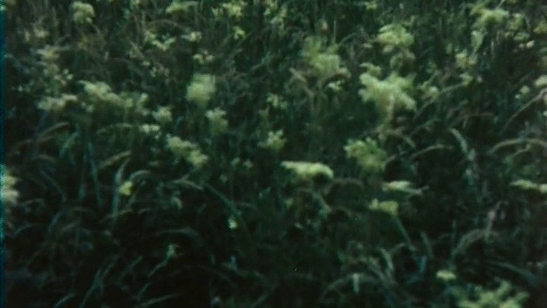 кадр из фильма Das fliegende Bild