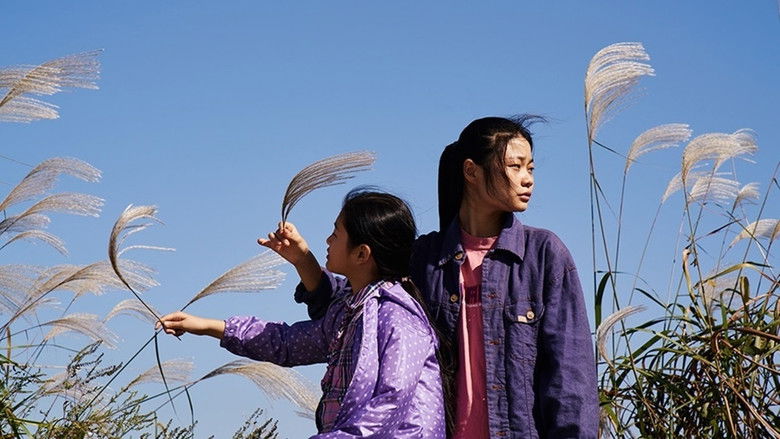 кадр из фильма 재꽃