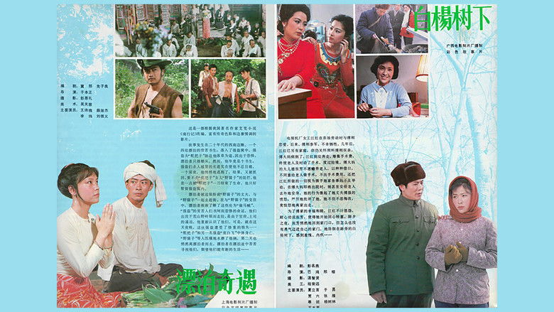 кадр из фильма 白杨树下