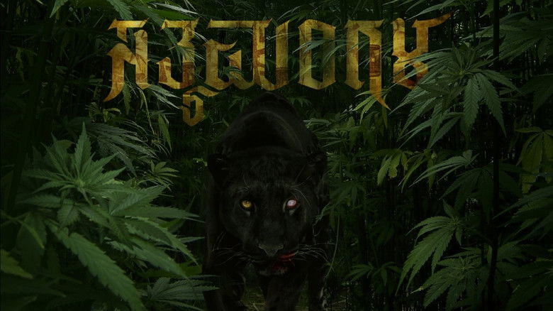 кадр из фильма ಸತ್ಯಮಂಗಳ