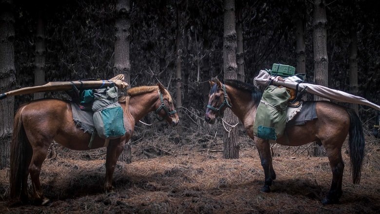 кадр из фильма The Road to Patagonia