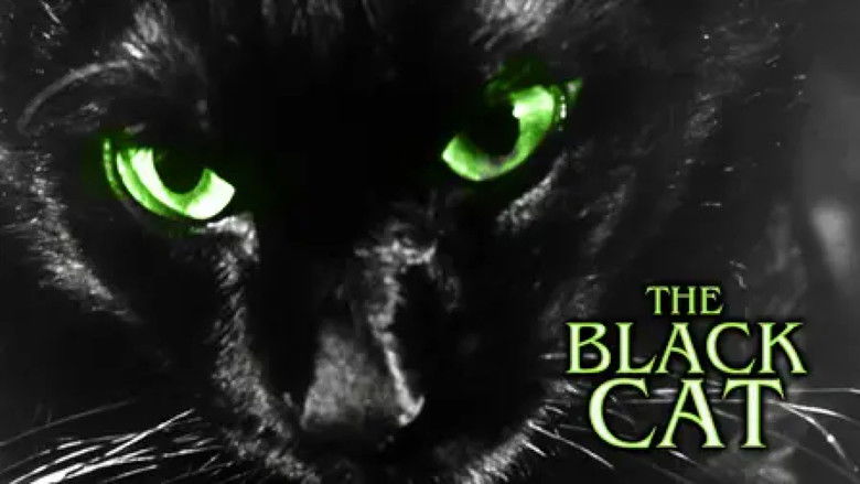 кадр из фильма The Black Cat
