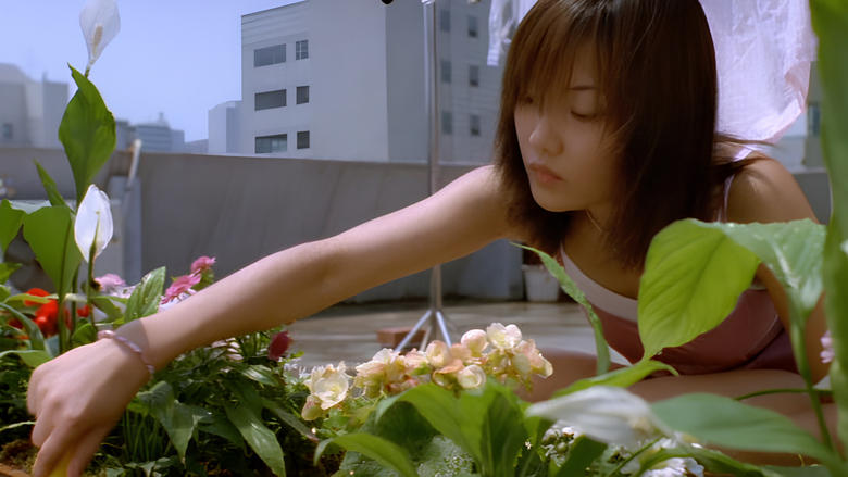 кадр из фильма 파라다이스 빌라