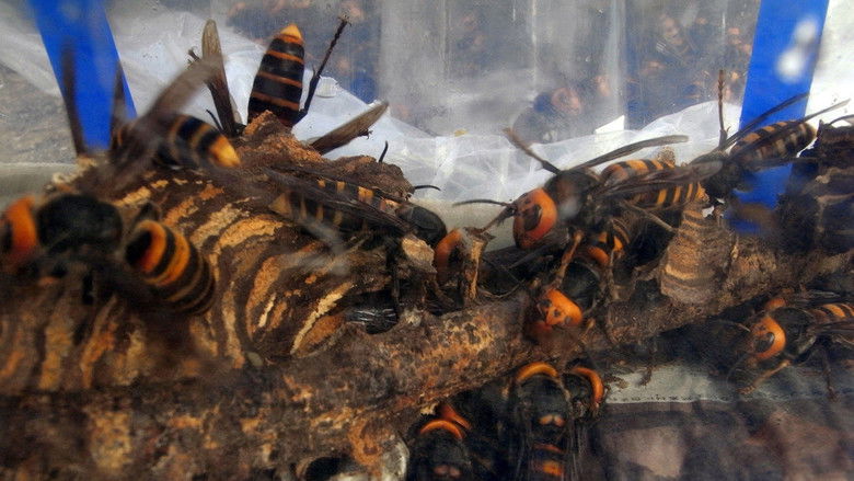 кадр из фильма Killer Swarms