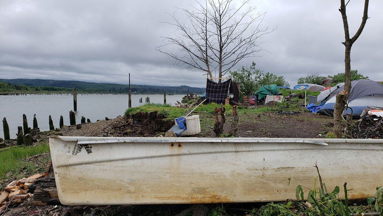 кадр из фильма The River