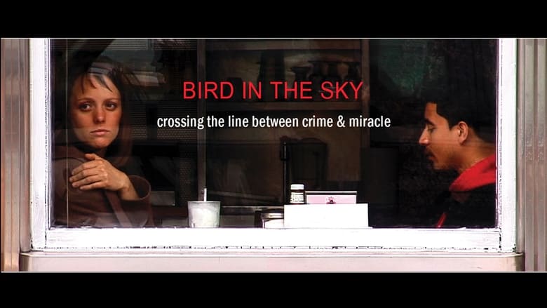 кадр из фильма BIRD IN THE SKY