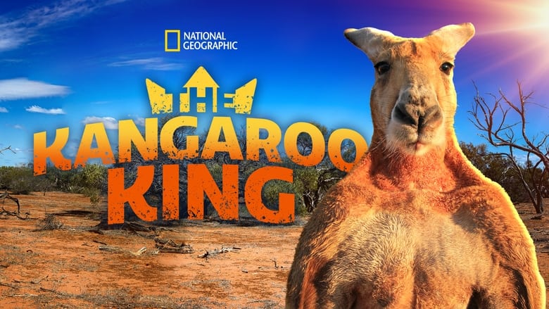 кадр из фильма The Kangaroo King