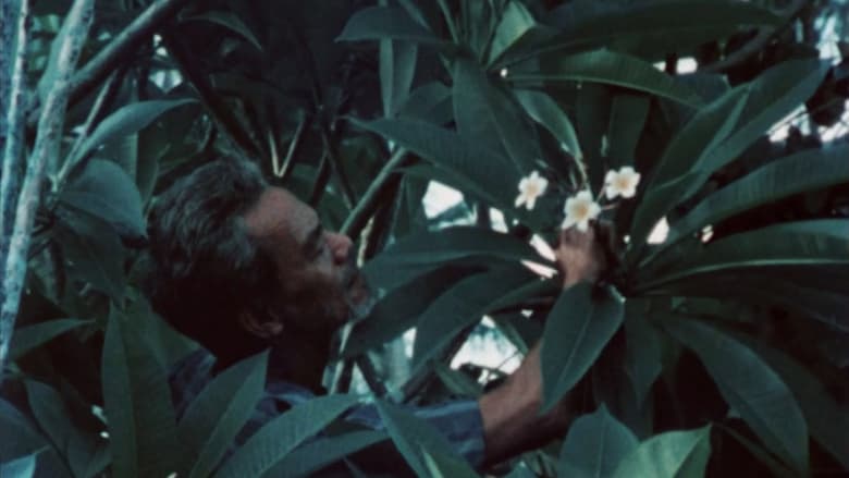 кадр из фильма Turumba