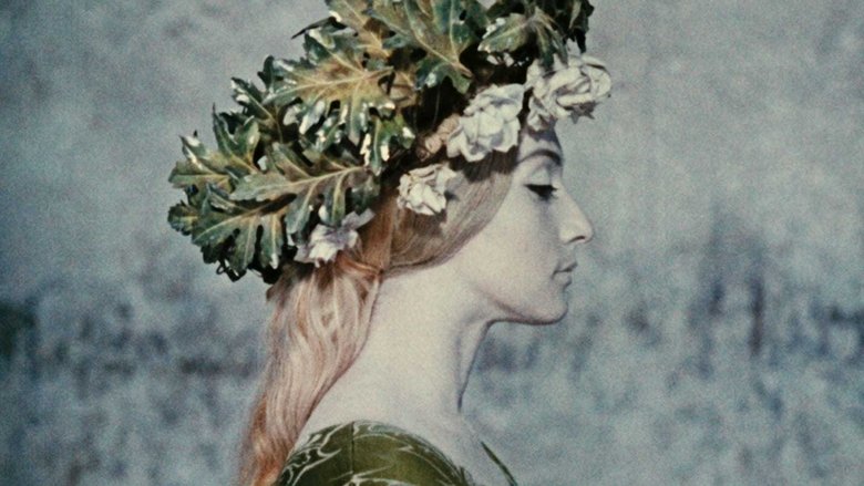 кадр из фильма Цвет граната