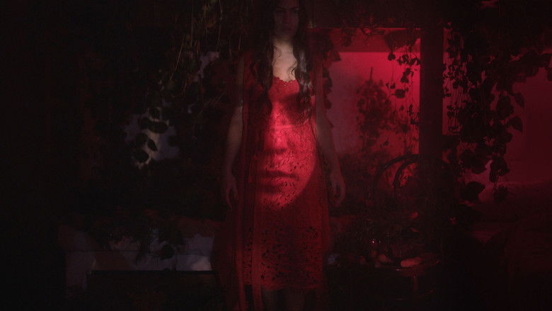 кадр из фильма Difference & Repetition, 2020